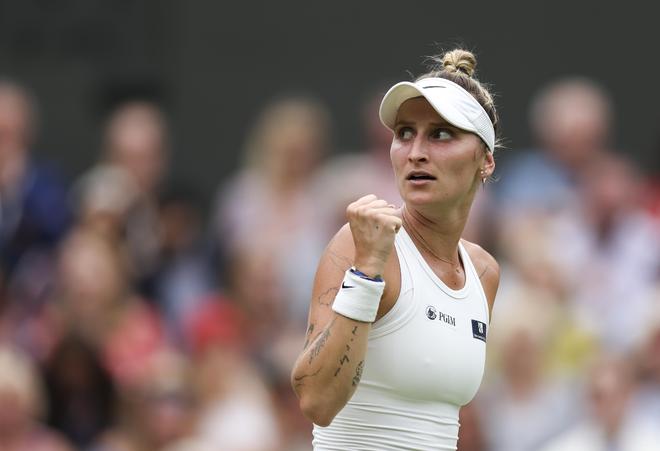 引进了多名 引进了多名