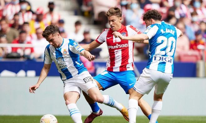 或将洗牌 或将洗牌